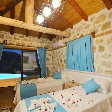 Naturel Villa *