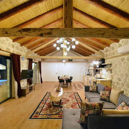 Villa Naturel *